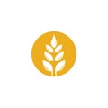 Wheat vector icon illustration design Royalty Free Stock Photo