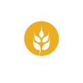 Wheat vector icon illustration design Royalty Free Stock Photo