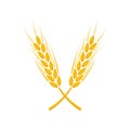 Agriculture wheat Logo Template. Vector illustration Royalty Free Stock Photo