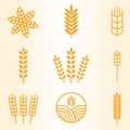 Agriculture wheat Template vector icon design Royalty Free Stock Photo