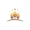 Agriculture wheat vector Royalty Free Stock Photo