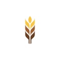 Agriculture wheat vector Royalty Free Stock Photo