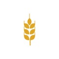 Agriculture wheat vector Royalty Free Stock Photo