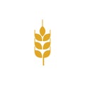 Agriculture wheat vector Royalty Free Stock Photo