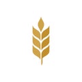 Agriculture wheat vector icon design Royalty Free Stock Photo