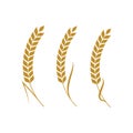 Agriculture wheat vector icon design Royalty Free Stock Photo