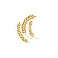 Agriculture wheat vector icon design Royalty Free Stock Photo