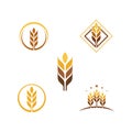 Agriculture wheat vector Royalty Free Stock Photo