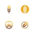 Agriculture wheat vector Royalty Free Stock Photo