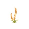 Agriculture wheat   vector icon illustration design Royalty Free Stock Photo