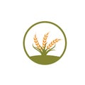 Agriculture wheat   vector icon illustration design Royalty Free Stock Photo