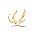 Agriculture wheat   vector icon illustration design Royalty Free Stock Photo