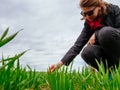 Agriculture woman biologist inspecting soil composition