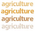 Agriculture Words Abstract Made Of Grains Royalty Free Stock Photo