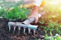 Gardener digs the black soil with rake Royalty Free Stock Photo