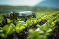 Agricultures future Robotic efficiency takes over watering copyspace for industry transformation