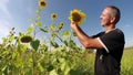 Agriculturist Checking His Sunflowers