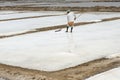 Agriculturist is harvesting salt farm, Pondicherry arera