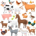 Agricultute animals color flat icons set