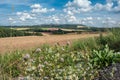 Agriculutral fields in late summer in sunny day Royalty Free Stock Photo