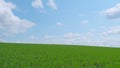 Agriculuture farm in countryside. Beautiful fresh green grass. Winter field. Pan. Royalty Free Stock Photo