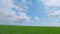 Agriculuture farm in countryside. Beautiful fresh green grass. Winter field. Pan. Royalty Free Stock Photo