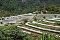 Agricuture village in valley with small green house for agricultual production Royalty Free Stock Photo