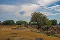 Agrigento, Sicily island in Italy. Famous Valle dei Templi, UNESCO World Heritage Site. Greek temple - remains of the Temple of Co Royalty Free Stock Photo