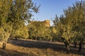 Greek ruins of Concordia Temple in the Valley of Temples near Agrigento in Sicily Royalty Free Stock Photo