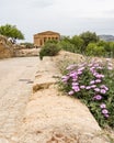 Agrigento Valley of the Temples, Greek Temple built in the 5th century BC, Agrigento, Sicily Royalty Free Stock Photo