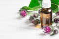 Agrimony burdock Essential oil In small bottle. Flowers spikes and leaves Royalty Free Stock Photo