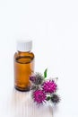 Agrimony burdock Essential oil In small bottle. Flowers spikes and leaves Royalty Free Stock Photo