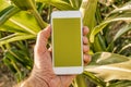 Agritech and smart farming, mobile phone app mock up screen Royalty Free Stock Photo