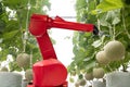 Agritech technology concept,