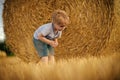 Agritourism, summer on farm, harvest season