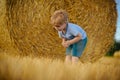 Agritourism, summer on farm, harvest season