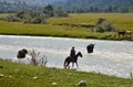 Agriulture in Caucasus