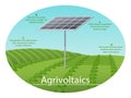 Agrivoltaics Infographic Royalty Free Stock Photo