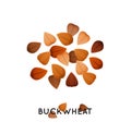 A handful of buckwheat seed. Agro culture buckwheat seeds icon. Cereals buckwheat illustration.