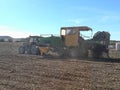 Agro tractor collecting potatoes in a harvest