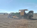 Agro tractor collecting potatoes in a harvest
