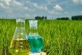 Agrochemical solution. Chemical agent. Fertilizer. Royalty Free Stock Photo