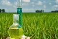 Agrochemical solution. Chemical agent. Fertilizer. Royalty Free Stock Photo