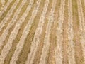 agroculture fields from above. drone image in country in autumn Royalty Free Stock Photo