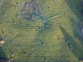 agroculture fields from above. drone image in country in autumn Royalty Free Stock Photo