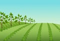 Agroforestry farm concept Royalty Free Stock Photo