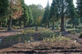 Agroforestry, Garden Center Kostelec