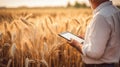 Agronomist agriculture worker using tablet to check crops in a wheat field