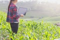 Agronomist analyzing cereals with laptop computer. Royalty Free Stock Photo