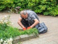 agronomist is busy in a flower bed in the botanical garden. The work of a gardener. Planting and weeding plants. Useful work.